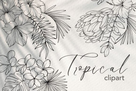 Download Tropical Flower LINE ART. Tropical Plant - Plant Collection