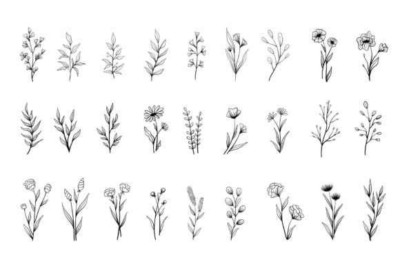 Download Hand Drawn Floral Doodles - Doodle Collection